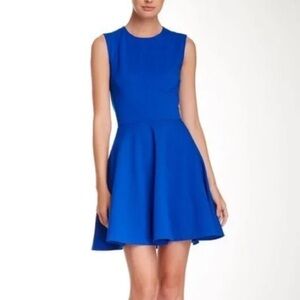 Diane Von Furstenberg Jeannie Electric Blue Fit and Flare Mini Skater Dress | 2